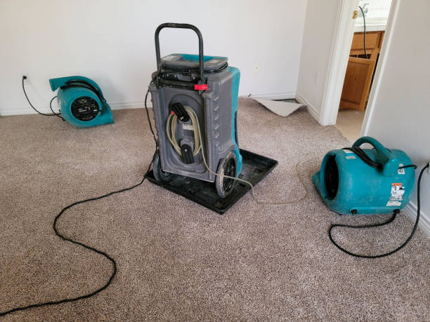 Best Flooded house restoration  in Demorest, GA