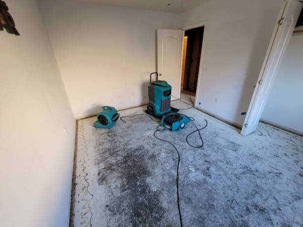Best Fire Damage Restoration  in Demorest, GA