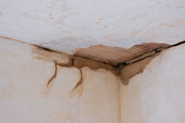 Best Water damage restoration near me  in Demorest, GA
