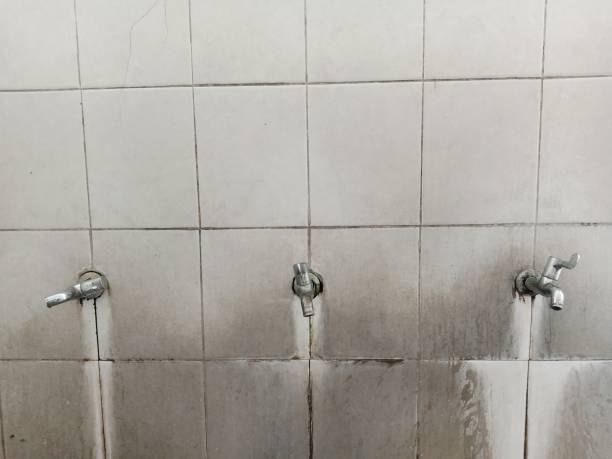 Best Ceiling water damage repair  in Demorest, GA