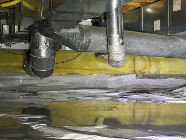 Best Water damage restoration near me  in Demorest, GA