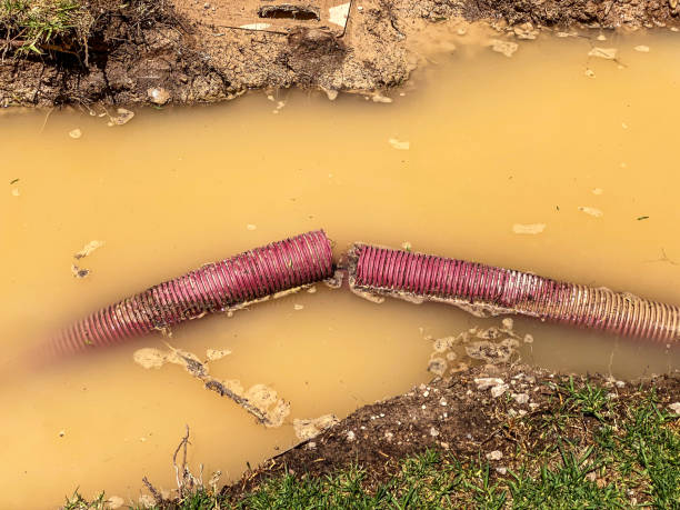 Best Flood damage cleanup  in Demorest, GA