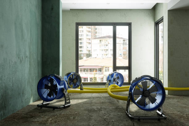 Local water damage restoration in GA