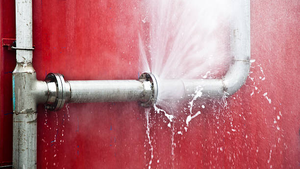 Best Water damage restoration mold remediation  in Demorest, GA
